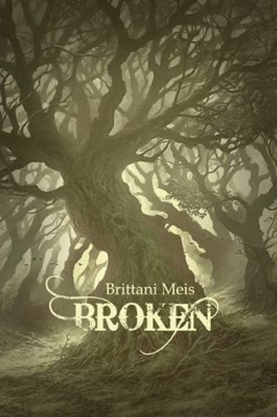 Broken Brittani Meis 9781480926332