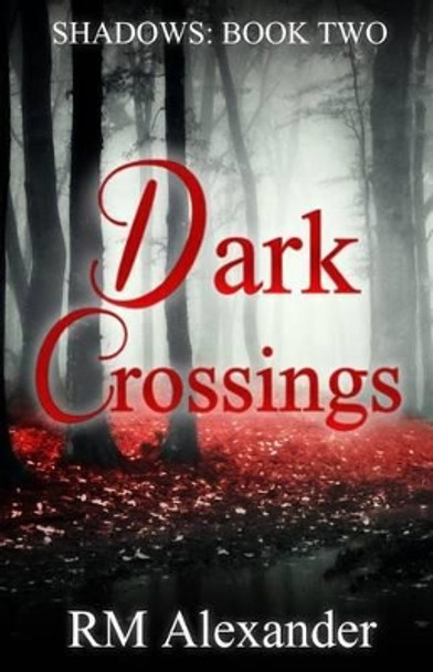 Dark Crossings R M Alexander 9781511406451