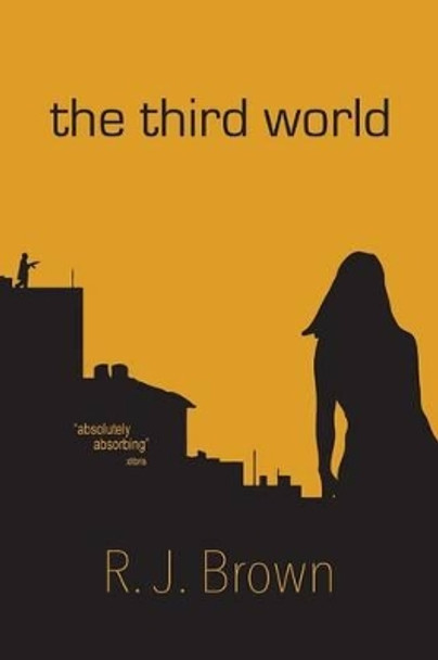 The Third World R J Brown 9781479765638