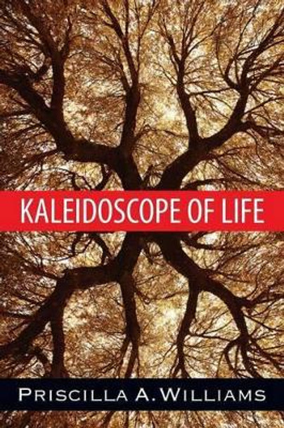 Kaleidoscope of Life by Priscilla a Williams