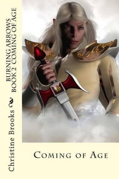 Burning Arrows: Coming of Age Christine Brooks 9781494346515