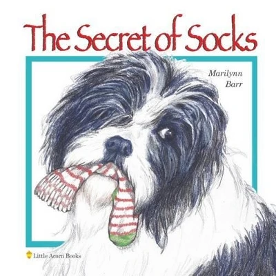 The Secret of Socks by Marilynn Barr
