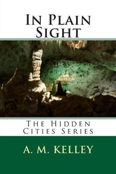 In Plain Sight A M Kelley 9781496176745