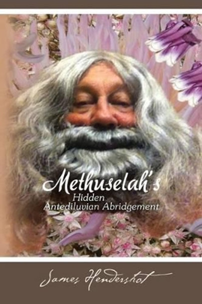 Methuselah's Hidden Antediluvian Abridgement James Hendershot 9781490748979