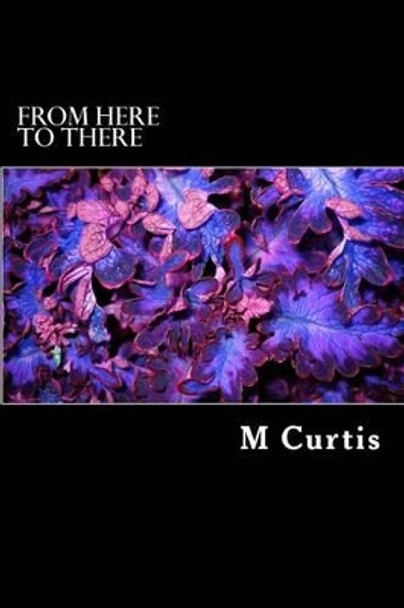 From here to there M a Curtis 9781482383157