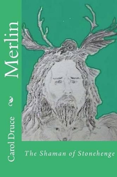 Merlin by Carol Druce