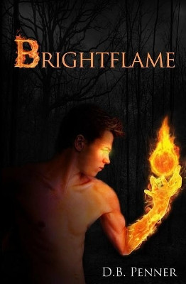 Brightflame by D B Penner