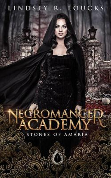 Necromancer Academy: Book 1 Stones of Amaria 9781700576545