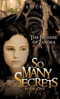 So Many Secrets C D Koehler 9781613791288