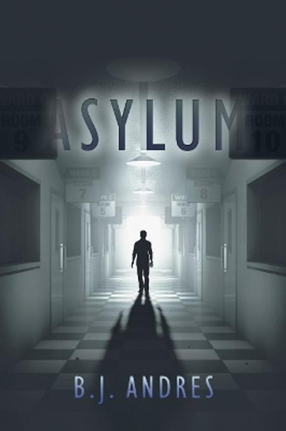 Asylum B J Andres 9781532068348