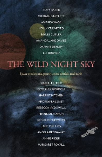 The Wild Night Sky by Harriet Hitchen