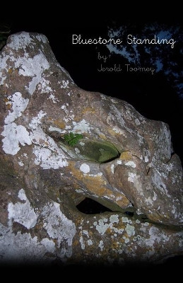 Bluestone Standing Jerold Toomey 9781645305668