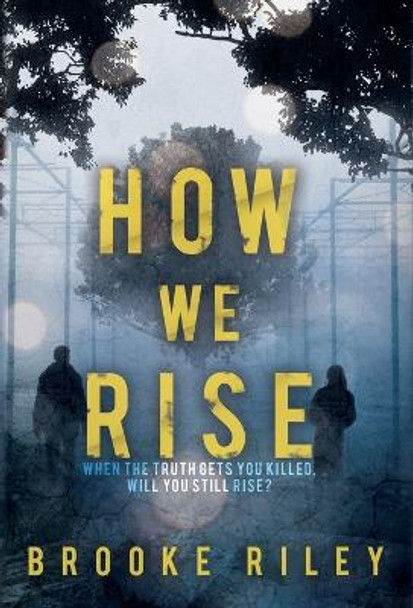 How We Rise Brooke Riley 9781734832914