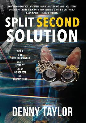 Split Second Solution Denny Taylor 9781942146469