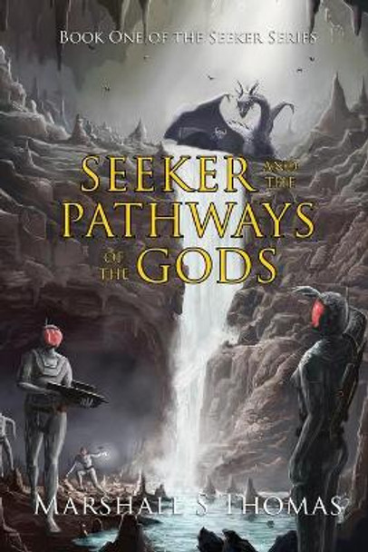 Seeker and the Pathways of the Gods Marshall S Thomas 9781647180270