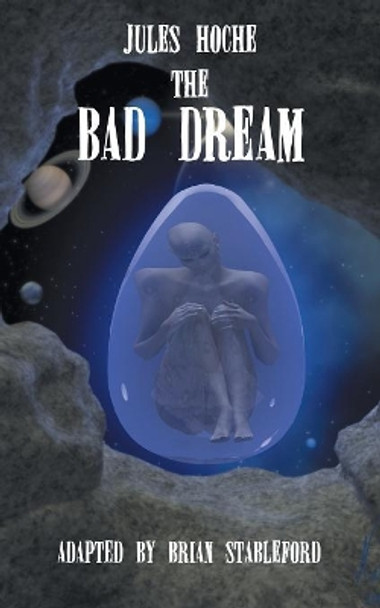 The Bad Dream Jules Hoche 9781612279046