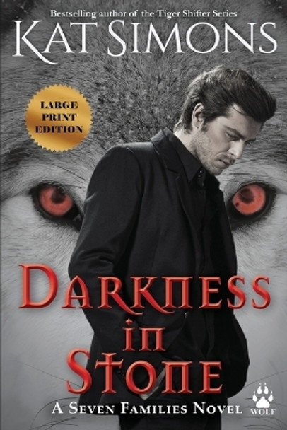 Darkness in Stone: Large Print Edition Kat Simons 9781944600617