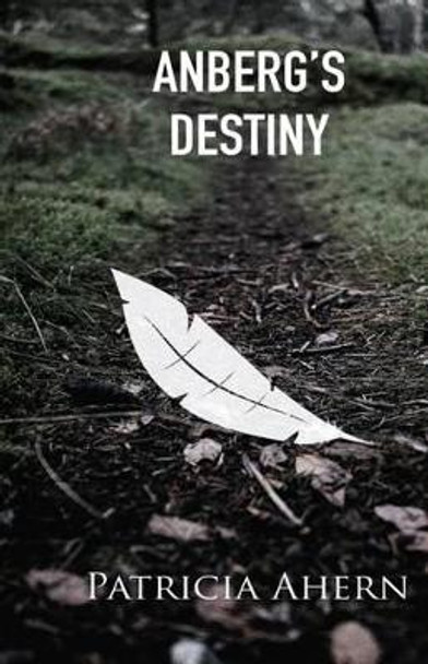 Anberg's Destiny Patricia Ahern 9781500408343