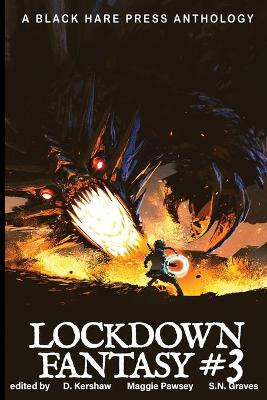 Lockdown Fantasy #3 by D Kerhsaw