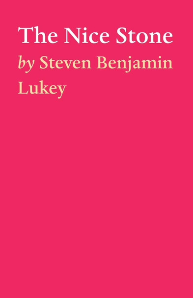 The Nice Stone Steven Benjamin Lukey 9781649696311