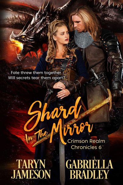 Shard in the Mirror Gabriella Bradley 9781487424633