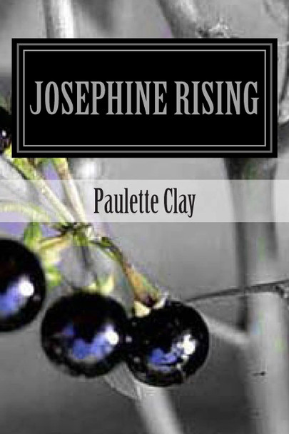 Josephine Rising Paulette Clay 9781490412542