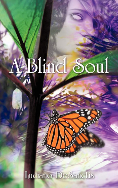 A Blind Soul Luciano DeSanctis 9781452013541