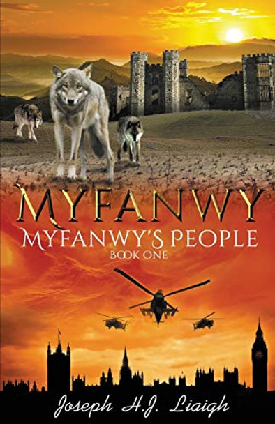 Myfanwy by Joseph H J Liaigh