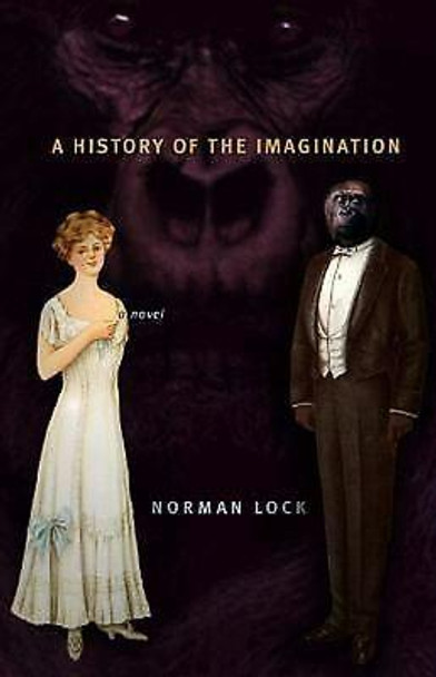 A History of the Imagination: A Novel Norman Lock 9781573661157