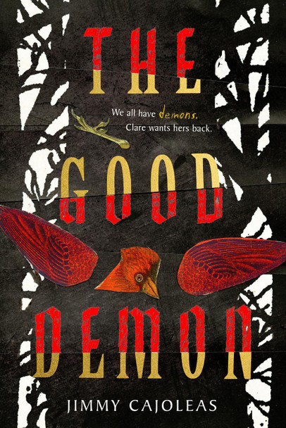 The Good Demon Jimmy Cajoleas 9781419738999