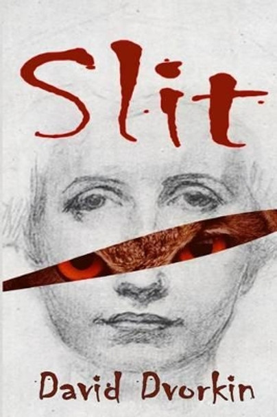 Slit David Dvorkin 9781500213084