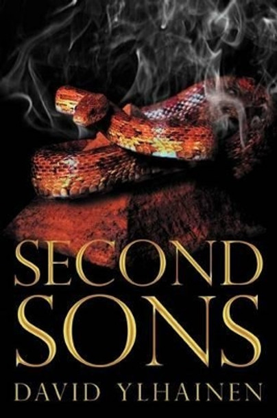 Second Sons David Ylhainen 9781449748524