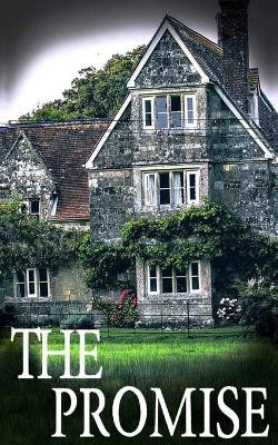 The Promise by J S Donovan