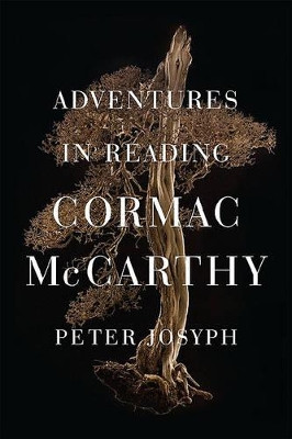 American Classic Screen Interviews by John C. Tibbetts