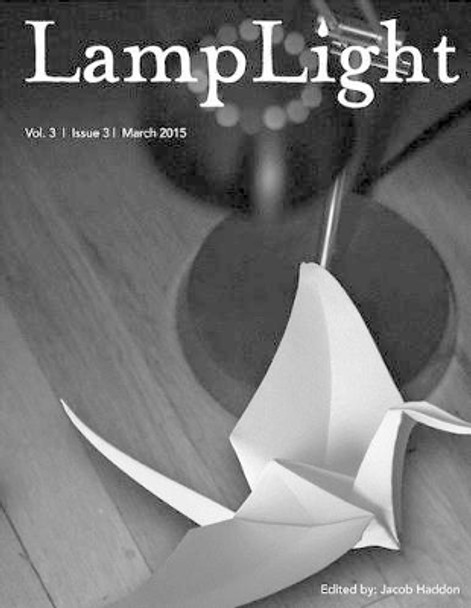 LampLight - Volume 3 Issue 3 Damien Angelica Walters 9781511430203