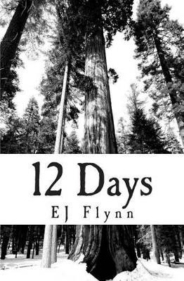 Twelve Days by Ej Flynn