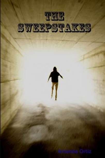 The Sweepstakes Amanda Ortiz 9780557054107