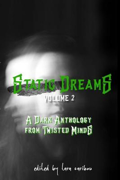 Static Dreams Volume 2: A Dark Anthology from Twisted Minds Tara Caribou 9781733080835