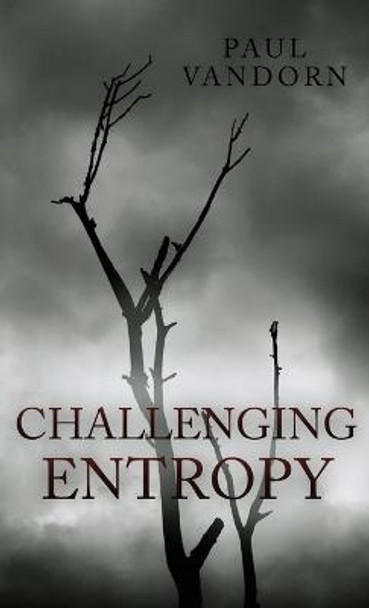 Challenging Entropy Paul VanDorn 9781737966227