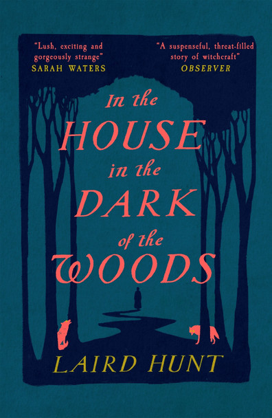 In the House in the Dark of the Woods Laird Hunt 9781911590224