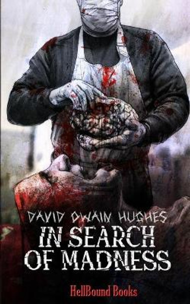 In Search of Madness David Owain Hughes 9781953905277