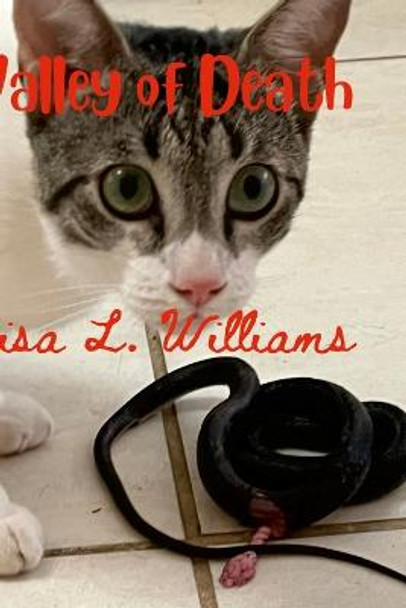 Valley of Death Marisa L Williams 9781387716357