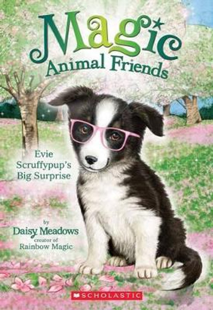Evie Scruffypup's Big Surprise (Magic Animal Friends #10): Volume 1 Daisy Meadows 9780545940771