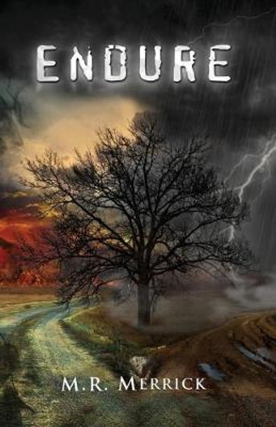 Endure M R Merrick 9780991786244