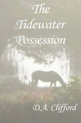 The Tidewater Possession by D a Clifford