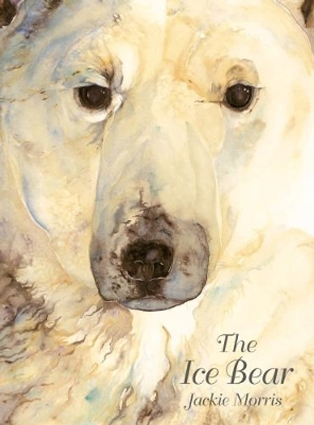 Ice Bear, The by Jackie Morris