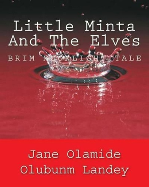 Little Minta And The Elves by Jane Olamide Olubunm Landey