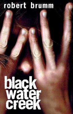 Black Water Creek by Robert Brumm