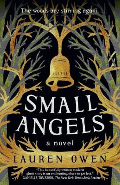 Small Angels: A Novel Lauren Owen 9780593242223