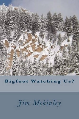 Bigfoot Watching Us? by Jim McKinley (University of Bath UK)